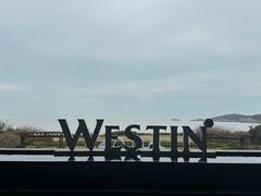 -舟山朱家尖绿城威斯汀度假酒店