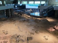 -自贡恐龙博物馆