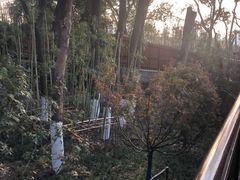 -武汉动物园