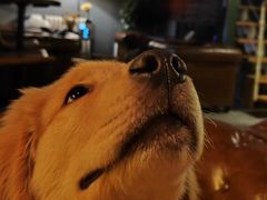 -后院儿·精酿·塔罗Happy Bar