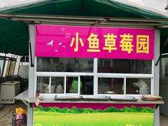 -小鱼草莓采摘园农家乐·小鱼餐厅