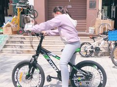 -道路口单车爱瓦士dahon大行