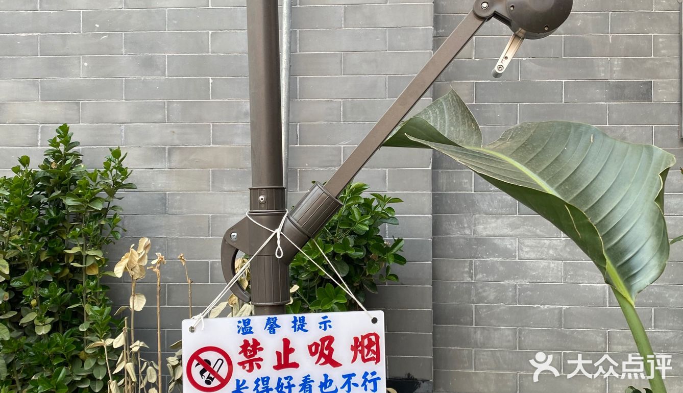 深藏在小院深处的可爱
