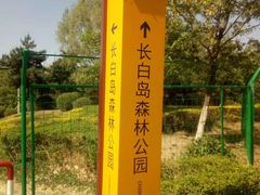 -长白岛森林公园