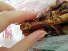 -王浩儿纪六孃甜皮鸭(乐山总店)