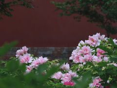 -北京市劳动人民文化宫(太庙)
