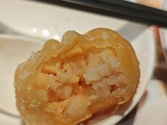 -点都德·毕德寮