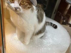 -MARSMART PETS火星宠物超市(1733店)