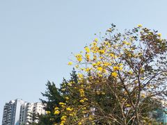 -狐尾山公园