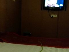 -合和大唐(福永店)