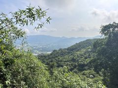 -三亚亚龙湾人间天堂鸟巢度假村
