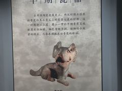 -荆州博物馆