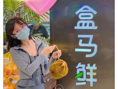 -盒马鲜生(大成店)