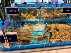 -渔纬港海鲜自助餐厅(湖里万达店)
