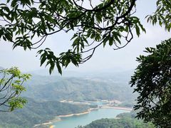 -田心森林公园