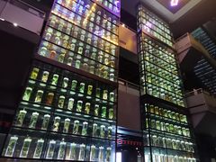 -广东中医药博物馆