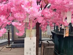 -武汉知音号
