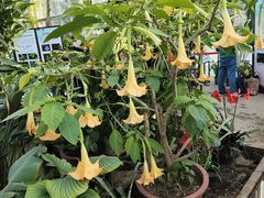 -国家植物园南园