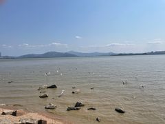 -深圳湾公园(南山区)