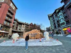 -中旅松花湖滑雪场
