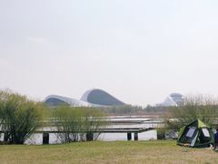 -哈尔滨大剧院
