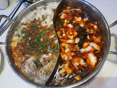 酸菜黑鱼鸳鸯小锅-德林酸菜鱼火锅(南丹店)