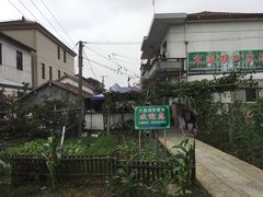 -大莲湖农家乐(青西郊野公园店)