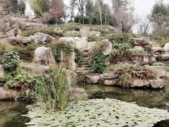 -秀丽东方