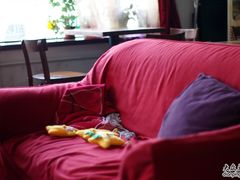 沙发-梦旅人咖啡馆快餐(成府路北河沿小区店)