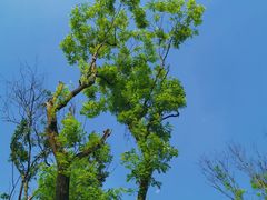 -白鹭湾湿地公园