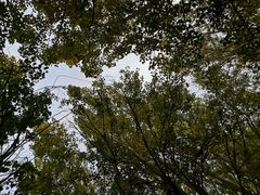 -渤海大学(松山校区)