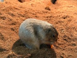 -Zoolung Zoolung动物主题公园(海信广场店)