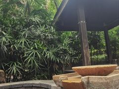 -融汇温泉