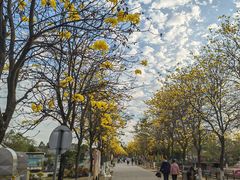 -盈香心动乐园