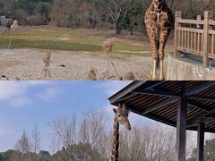 -宁波野生动物园
