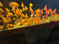 -嘉兴海底世界