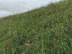 -新疆那拉提国家旅游度假区