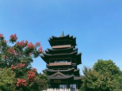 -杭州半山国家森林公园