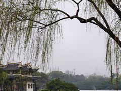 -江心屿景区