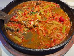 -老板恋上鱼(高新万达店)