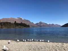 -Patagonia Chocolates(皇后镇店)