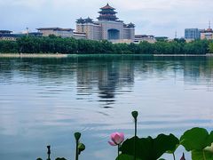 -莲花池公园