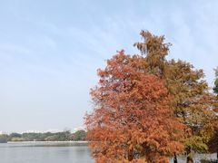 -海珠湖公园