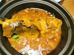 红烧菊黄河豚-扬州狮子楼·非遗淮扬菜(东关街店)