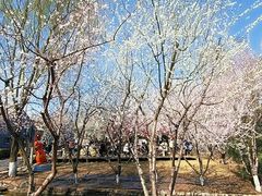 -三里河公园