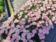 -方恒购物中心(望京小街店)