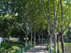 -金银湖国家城市湿地公园