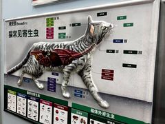 -瑞派·关忠动物医院·异宠专科·犬猫肿瘤·皮肤专科(望京店)