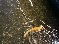 -观宴·品质赣菜(高新大道店)