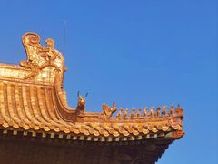 -故宫博物院(故宫)